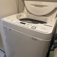 洗濯機（5.5L）の画像