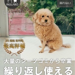INULABO(イヌラボ) 洗える ペットシーツ ビッグ おしっこマット ペットマット 丸ごと洗える 繰り返し使える 【健康状態の変化に気づける】 (ビッグ（2枚セット）ブラウン)の画像