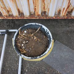 いろいろな大きさの鉢と超えた肥料たっぷりの土セットの画像