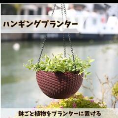 ハンギングバスケット 観葉植物 インテリア プランター 吊り鉢の画像