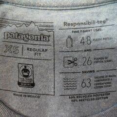 Patagonia（パタゴニア）ブルー色ロンT　サイズXSの画像