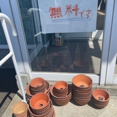 植木鉢無料で！の画像