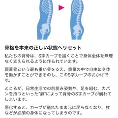 ストレッチポール正規品　【8/23日まで限定】の画像