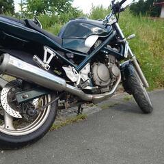 バンディット250 自賠責付き 250cc の画像