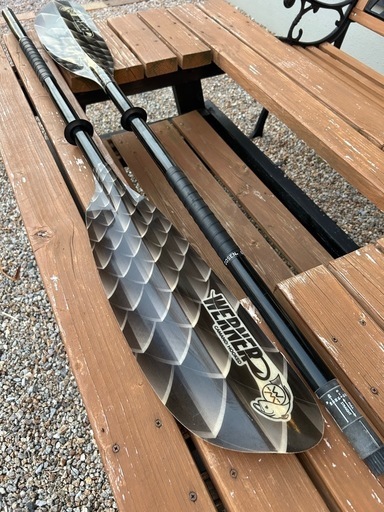 ワーナーパドル