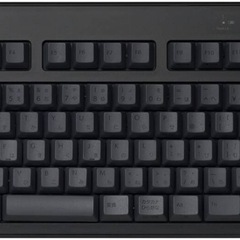 REALFORCE R3 R3HC11 荷重45gの画像