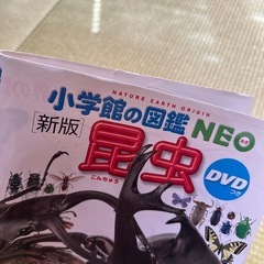 図鑑NEO 昆虫　DVDつきの画像