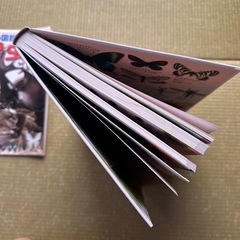 図鑑NEO 昆虫　DVDつきの画像