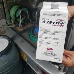 白蟻駆除もやっております。　遠藤建装 - 市川市