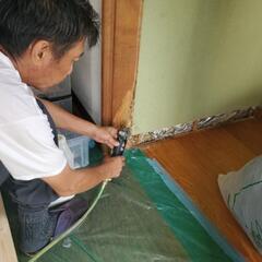 白蟻駆除もやっております。　遠藤建装 - リフォーム