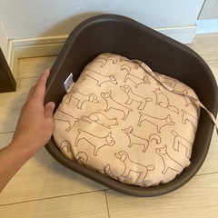 ペット用 子猫用 グッズの画像