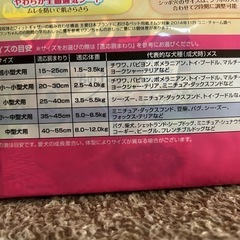 開封済みマナーウェア 女の子用 Mサイズ 22枚の画像