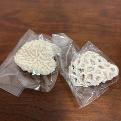 サンゴ(珊瑚)★まとめ売りの画像
