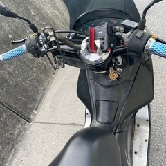 pcx125の画像