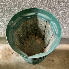 ロングスリット鉢(5号)  １鉢10円の画像