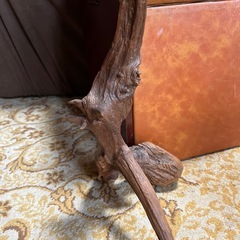 木の根っこの画像