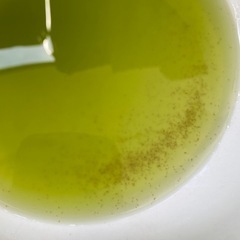 ミジンコ、めだか用生餌の画像
