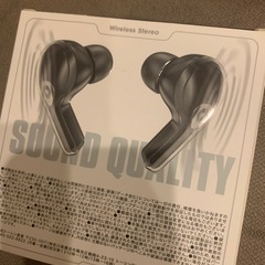 新品　タッチディスプレイ付き完全ワイヤレスイヤホン　スケルトンブルーカラーの画像