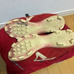 スパイクの画像