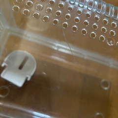 GEXグラスハーモニーの画像