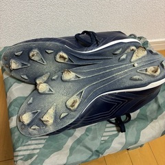 スパイクの画像