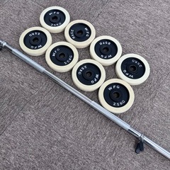 ワイルドフィット バーとプレートセットの画像