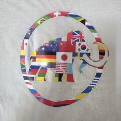 MAMMUT マムート の 胸ロゴ Nations T-Shirt 半袖 1017-02220 です。 の画像
