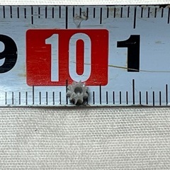 網押え ゴム ロール 売り 網戸 サッシ 網 防虫 ネット 虫除け 取り付け 張り替え 張替え ロープ 三協 LIXIL YKK プロ 業者 向け 11の画像