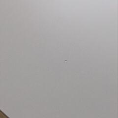 サンワダイレクト パソコンデスク 幅120×奥行60cm モニターアーム対応 机 PCデスク 組立簡単 ホワイト 100-DESKF004の画像