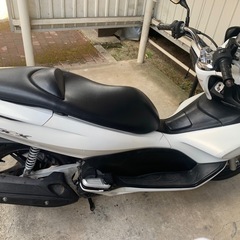 pcx125の画像