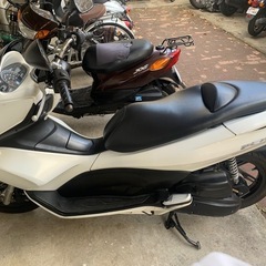 pcx125の画像