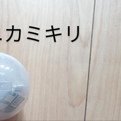 ガチャの画像