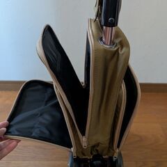 キャリースティックの画像