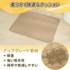 犬 猫用洗えるペットシーツ ペット用マット L(100×70cm) 2枚セット　転売OK　倒産品　まとめ売り　ネット商材　アマゾン引き上げ商品　メルカリ　副業の画像