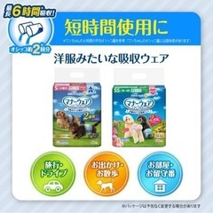 【まとめ割あり】犬用マナーウェア男の子用　Mサイズ　21枚の画像
