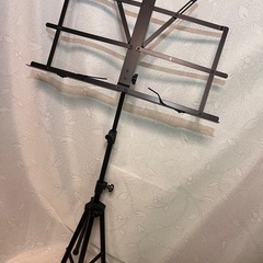 SELDER エレキギター [超美品]フォトジェニック アンプ+付属5点の画像