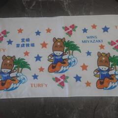 シャツ　タオルの画像