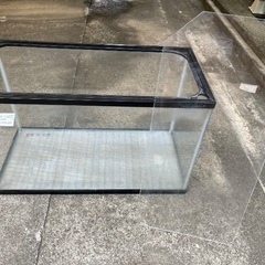 〜取引中〜60cm水槽の画像