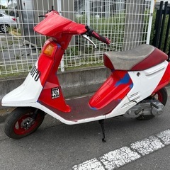 チャンプ80　の画像
