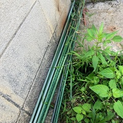 プランター　添木の画像