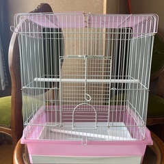 鳥籠の画像