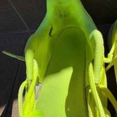 PUMAトレーニングシューズの画像