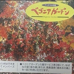 ナガシマリゾート メンバーズ　クーポン　最大17,300円分2028年2月末の画像