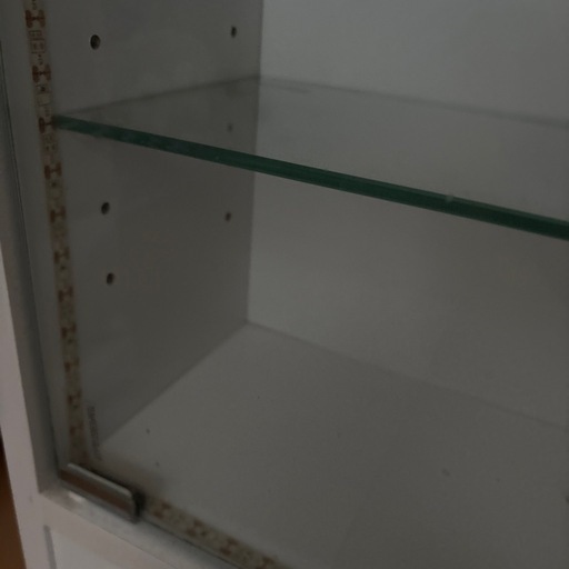 コレクションケース