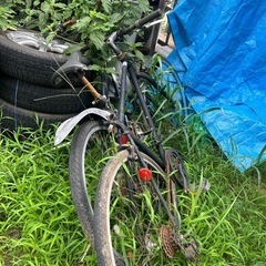 自転車🚲の画像