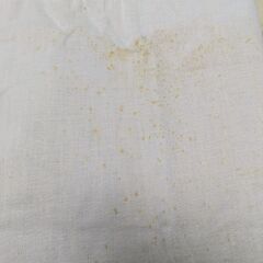 【無料】水色の無地の布地です　綿の画像