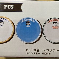 T298-70475/スヌーピー パスタボウル 3枚セット レンジ・食洗器使用可 深みのある形状は、パスタやカレーにお使い頂けますの画像
