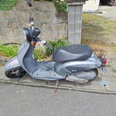 原付ホンダトゥデイの画像