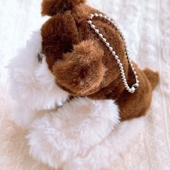 犬　シュナウザー　ぬいぐるみ　マスコットの画像