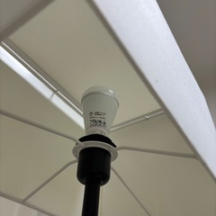 【立川市】無印良品　スタンドライトの画像